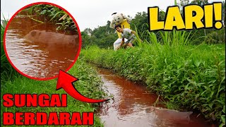 IF YOU SEE A BLOODY RIVER, RUN QUICKLY!!?