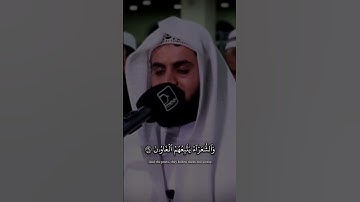 رعد الكردي سورة الشعراء #رعد_الكردي #سورة_الشعراء #قرآن_كريم #raadalkurdy #islam #quran #القرآن