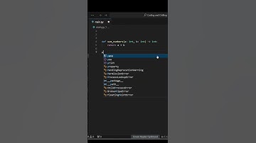 Python function with input type and return type