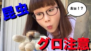 カブトムシの幼虫の上手な育て方！