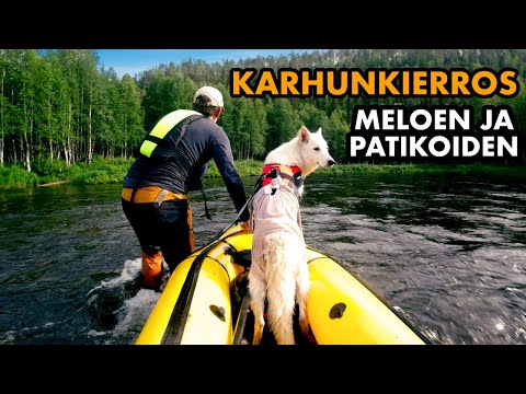 Video: Kesä Patikointi koirasi kanssa - Turvallisuusvinkkejä, joita sinun tarvitsee tietää