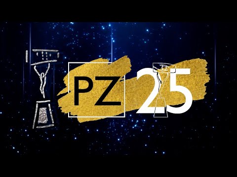 XXV Premis Zapping