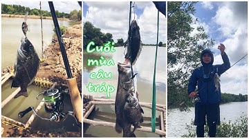 Câu cá tráp cuối mùa gió chướng ( 2021 )
