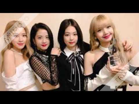 Blackpink's Tribute video