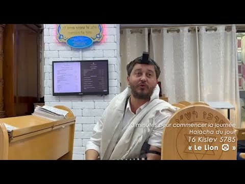3MN DE TORAH POUR COMMENCER LA JOURNÉE - LE LION 🦁