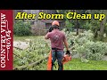 After Storm Clean up, but at least we got some rain.