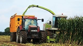 Claas Jaguar 860 harvesting maize - mais hakselen 2013 - J. Looman - Didam, The Netherlands