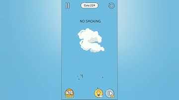 Brain up Quiz level 224