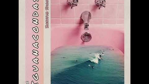 Iguanacondas - Bathtub Skooze (full album)