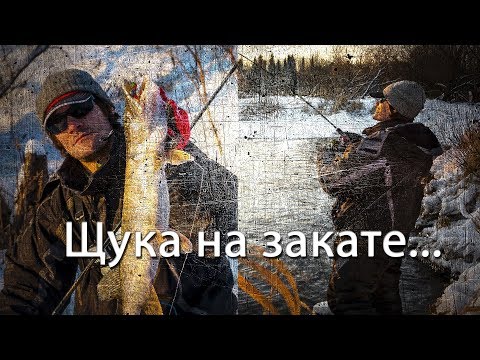 Видео: Ловля щуки на джиг на закате....