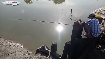 KHÁM PHÁ BÃI CÂU ĐẸP SÔNG SOÀI RẠP CẦN GIỜ