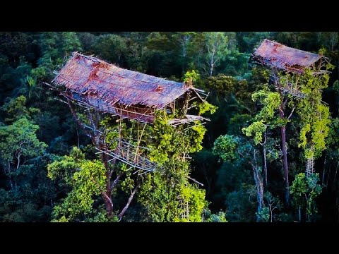 Video: Ăn thịt đồng loại ở Châu Phi. Bộ lạc ăn thịt người hoang dã