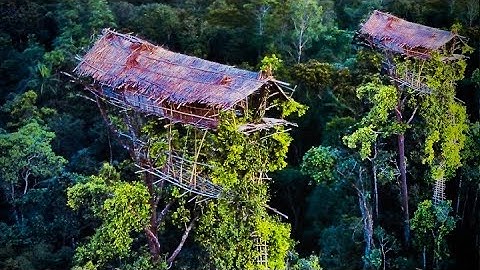 Tại sao Bộ Lạc Korowai Săn Đầu Người Sống Trên Cây Và Ăn Thịt Người Ở Indonesia - Bí Ẩn Các Bộ Tộc