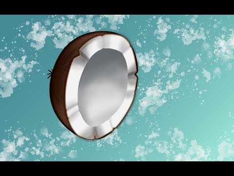 coconut-with-affinity-designer-on-ipad