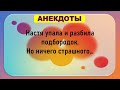 Про евреев, похмелье, туристов и другие смешные анекдоты! Анекдоты До Слез! Юмор! Анекдот дня!