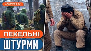 ЗСУ ЗНИЩУЮТЬ роти росіян. 