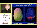 لهذا السبب تصاب أدمغتنا بالعطل نظرة عميقة مع الدكتور دانيال أمين طبيب أعصاب أمريكي 