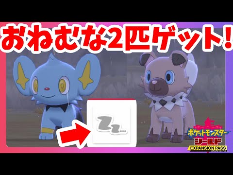 ソードシールド イワンコの種族値 わざ 特性など能力と入手方法 ポケモン剣盾 攻略大百科