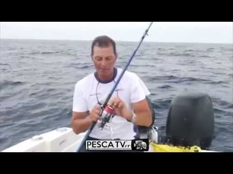 Come PESCARE i PAGELLI con Marco Volpi (completo)