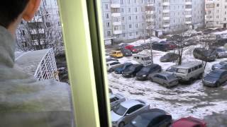 Свиристель Свиристель