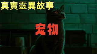 真實靈異故事-宠物 #鬼故事,#灵异故事,#奇闻异事录,#【灵异电台】,#小白怪谈,#JY鬼故事,#梦境诡谈,#鬼事密錄,#古今奇闻●怪谈故事,#鬼故事,#靈異故事,#奇聞異事錄,#【靈異電臺】