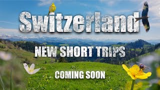 Switzerland short cinematic Trips. Natur, Wildlife (4k, FX3, DJI Mavic 3 Pro) coming soon.