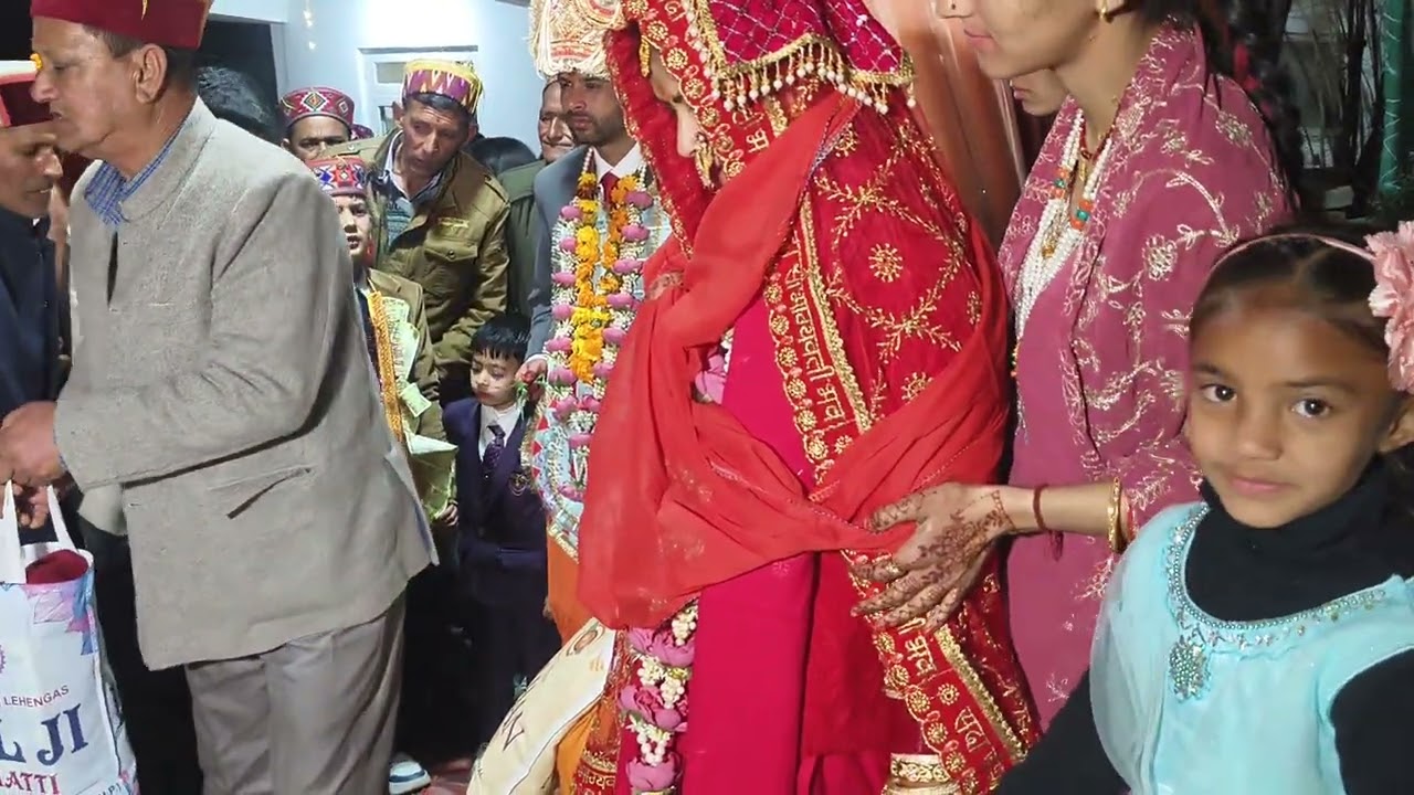 देवभूमि कुल्लू हिमाचल की शादी देखिए