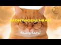Lenar Montagem Miau مترجمة للعربية Montagem Miau ARABIC SUB 