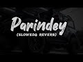 Parindey Yaar (Slowed Reverb song) Haryanvi Lofi song #slowed