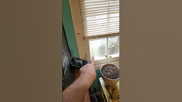 finally a safe setup for my resin printer #diy #elegoo #3dprinting #safetyfirst