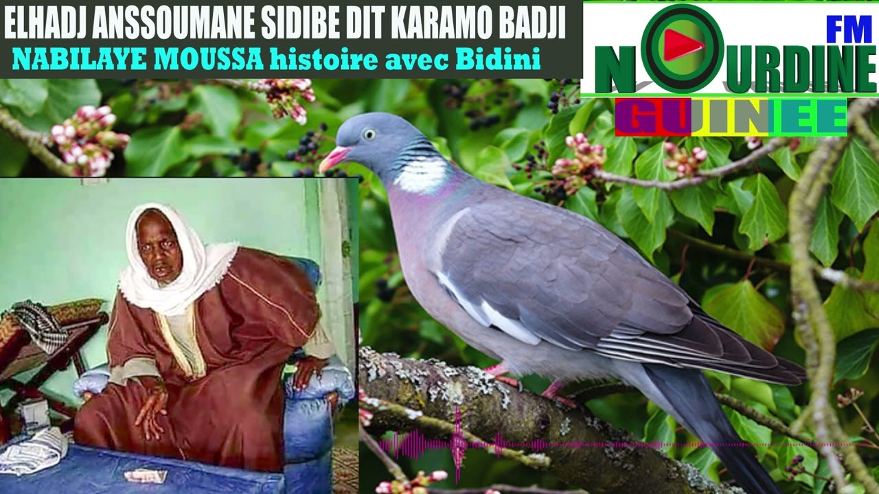 Laye Anssoumane Sidibé histoir de Bidini avec Nabilaye Moussa sur @NOURDINEFMGUINEE