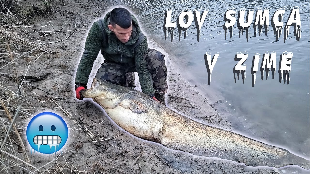 Lov sumca v Taliansku,Február 2023 Catfishing in Italy 2023 YouTube