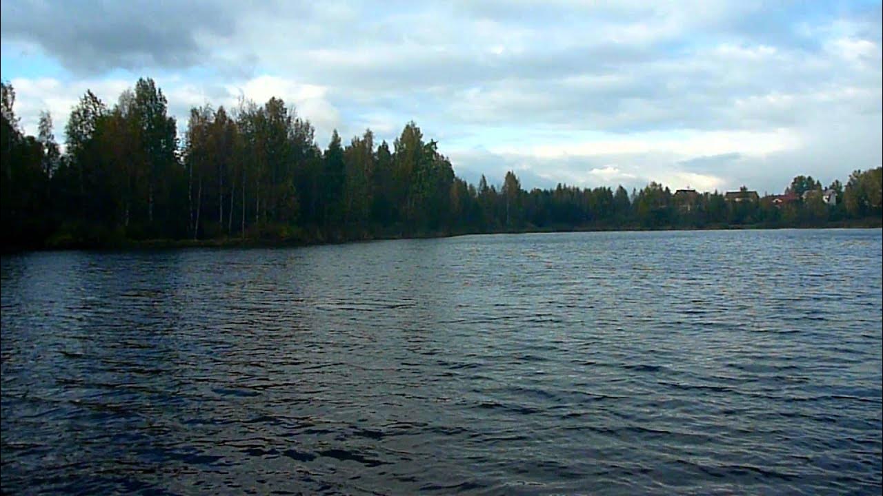 Финское озеро 5 букв. Финское озеро Парголово. Финское озеро Парголово рыбалка. Финское озеро Шуваловский парк. Финское озеро Парголово пляж.