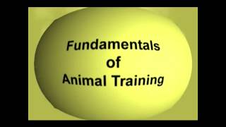The Fundamentals Of Animal Training DVD Clip  DTB893