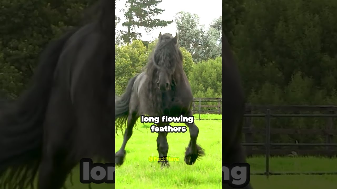 This 25 000 Horse Actually Exists 