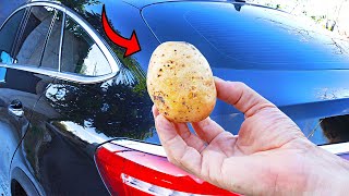 Having 1 Potato in your Car Could Save Your Life and Nobody Told You