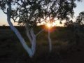 Lipstic Sunset wmv