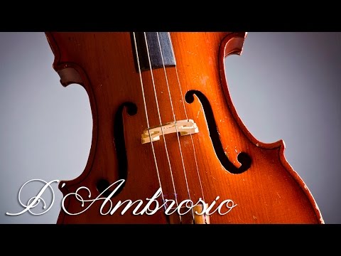Classical Music For Studying And Concentration | Violin Study Music | Relaxing Music For Studying