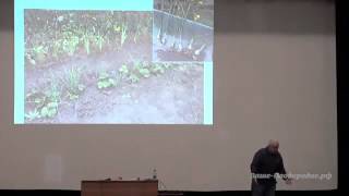 видео: Борис Бублик  картинка: Борис Бублик