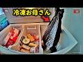 ※食べられません