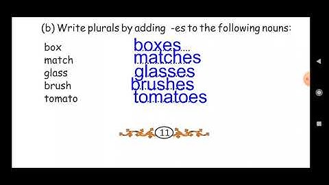 Pseb 5th English Lesson 1: The Elves and the Shoemaker | pseb 5 RAINBOW | PSEB 5th English chapter 1