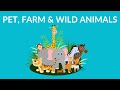 Pet farm and wild animals  animal for kids