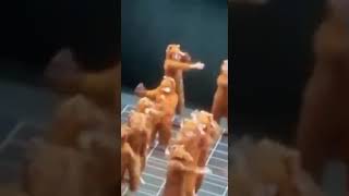Pi Kappa Phi Step Sing 2022 Samford Sweepstakes Winners Rats