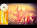 Eric Chiryoku - Yellow Leaves || Autumn Journey