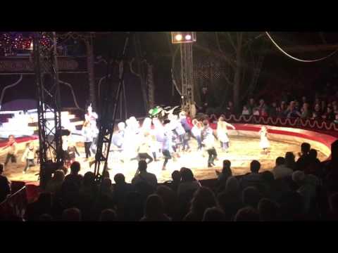 Video: Tysk Cirkus Med Holografiska Djur