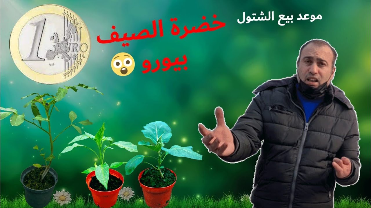 الزراعة في المانيا، أوروبا | الشتل جاهز للشحن | 12.05.2021
