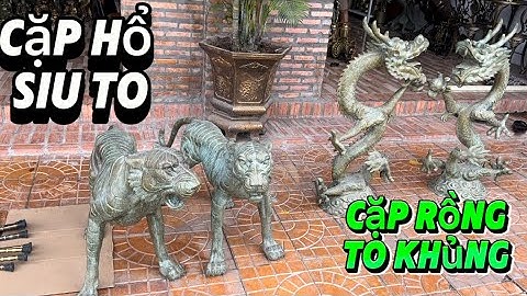 Chậu rồng phung nước _ Cặp Hổ To _ Cặp Rồng To . Trưa 4/12 #đồcổcầnthơ #đồcổ