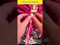 Borlotti Beans Shelling : Fresh Pod Opening
