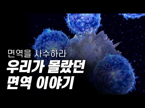 우리가 몰랐던 면역 이야기, 면역을 사수하라! [#다큐S프라임] / YTN 사이언스