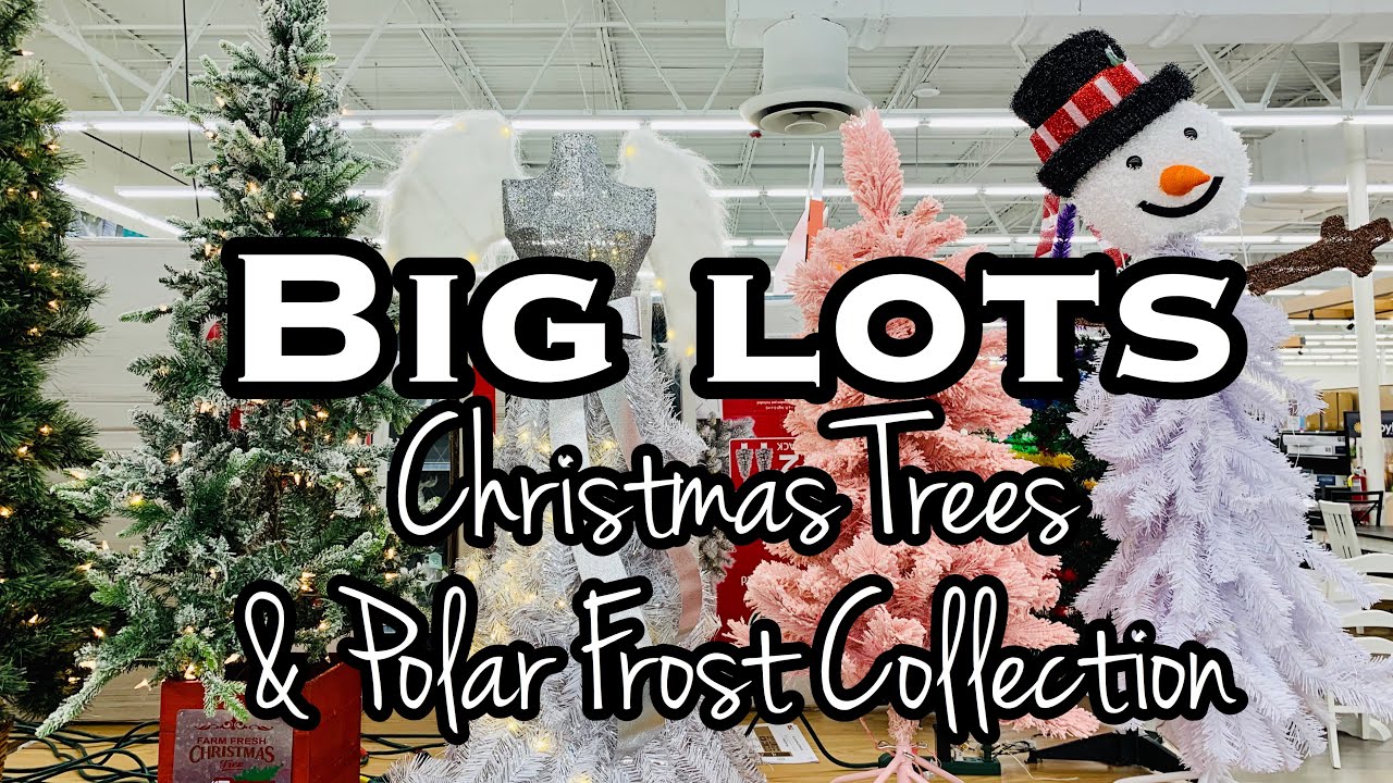 BIG LOTS CHRISTMAS TREES 2020 • NEW CHRISTMAS DECOR 2020 ...